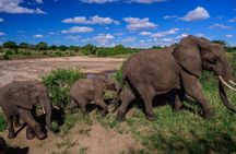 3-Day Tarangire, Lake Manyara and Ngorongoro