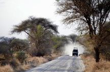 Outstanding day trip to Tarangire National Park