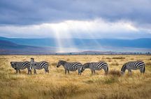 Outstanding day trip to Tarangire National Park
