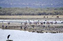 Outstanding day trip to Tarangire National Park
