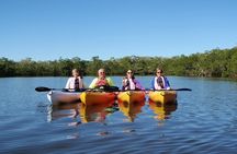 Half Day Kayak or SUP Rental (3hr) - Pelican Bay