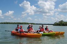 Half Day Kayak or SUP Rental (3hr) - Pelican Bay