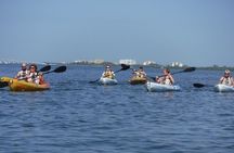 Half Day Kayak or SUP Rental (3hr) - Pelican Bay