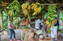 Haitises National Park and Montaña Redonda (Full Day) 