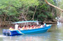 Haitises National Park and Montaña Redonda (Full Day) 