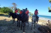 Dunn's River Falls Climb, Zipline and Horseback Riding Private Tour