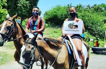 Dunn's River Falls Climb, Zipline and Horseback Riding Private Tour