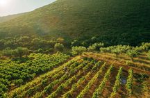 Winery Tour and Tasting in Zakynthos with the Winemaker