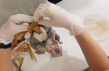  Papier Mâché Class In Lecce