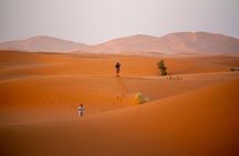 Merzouga Sahara Desert 2 Days Trip from Ouarzazate.