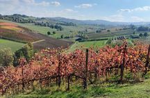 Private Balsamic vinegar & Parmigiano Reggiano factory visits