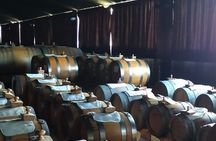 Private Balsamic vinegar & Parmigiano Reggiano factory visits