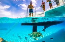 Klein Curacao Adventure Day Trip