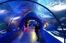 Antalya Aquarium, Wax Museum, Snow World, Wild Park, XD Cinema