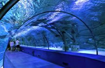 Antalya Aquarium, Wax Museum, Snow World, Wild Park, XD Cinema