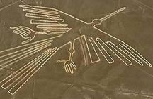 Ballestas, Paracas, Nazca Lines & Huacachina - 2 Days Experience