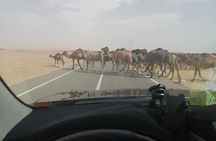 3 Days 2Nights Desert Trip to Fez from Marrakech