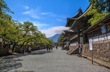 Private guided tour: Mt. Aso volcano, grasslands, Aso Shrine