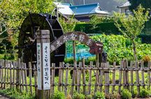 Enjoy a walk, lunch, and tea time at the 2000 years old Teno Farm Village.
