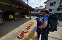 Enjoy a walk, lunch, and tea time at the 2000 years old Teno Farm Village.