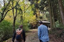 Walking through the Aso Caldera, Historical Walk along the "Bungo Kaido"