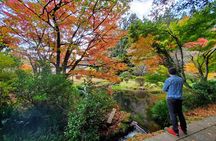 Walking through the Aso Caldera, Historical Walk along the "Bungo Kaido"