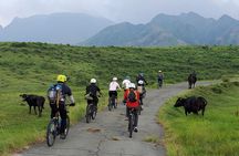Private E-MTB guided cycling around Mt. Aso volcano & grasslands