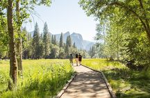 Yosemite Full Day Private Tour and Hike