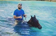 Private Horseback Riding, Swimming and Dunn's River Falls Tour