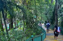 Private Horseback Riding, Swimming and Dunn's River Falls Tour