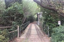 Photography route through the secret nature of Barcelona