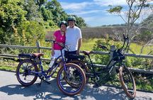 Hilton Head Guided Pedego Electric Bike Tour