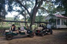 Daufuskie Island Guided History Tour from Hilton Head