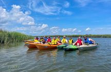 2-Hour Hilton Head Guided Kayak Nature Tour