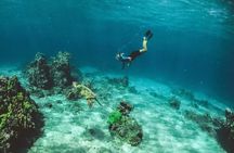 Santa Maria and Chileno Bay Snorkel Adventure Los Cabos 