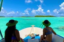 A Day at the Island of Reefs