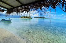 A Day at the Island of Reefs