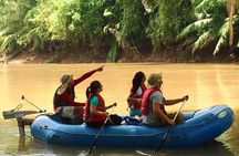 Caño Negro Eco Safari Boat Tour