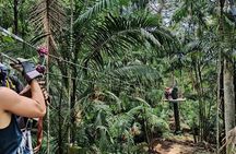 Canopy in Gamboa and visit to the sloth sanctuary