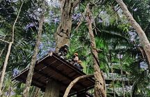 Canopy in Gamboa and visit to the sloth sanctuary