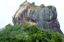8 Days Hill Country and Coastal Tours in Sri Lanka