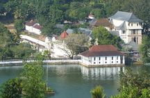 8 Days Hill Country and Coastal Tours in Sri Lanka