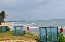 8 Days Hill Country and Coastal Tours in Sri Lanka
