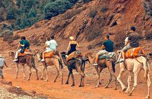 Atlas Mountains Day Trip from Marrakech and Three Valleys Guided Tour