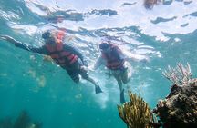 Adults Only Catamaran to Isla Mujeres with Beach Club