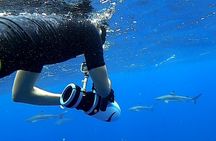 Sea Scooter Snorkel Tour - Guided Ocean Safari + Reef and Lagoon Adventure