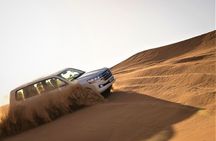 Dubai Red Dunes with Sandboarding, Camel Ride, Falcon & VIP Camp