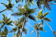 Tortuga Island Full Day Tour from San José with Lunch