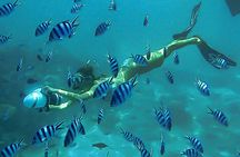 Sea Scooter Snorkel Tour - Lagoon Discovery : Wrecks, Coral Gardens and Tropical Fishies