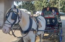 City Tour by Horse Carriage and Sailing Felucca from Cairo/Giza Hotels